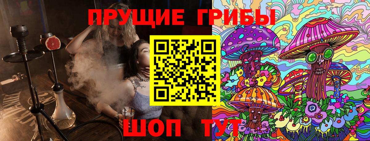 Галлюциногенные грибы MAGIC MUSHROOMS Тверь